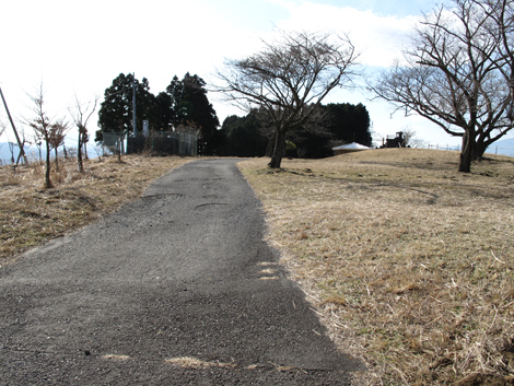 20160108hike (118)